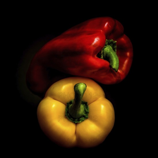 Red and yellow bell peppers are arranged prominently on a black background, highlighting their