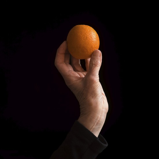 A hand gracefully holds a bright orange, emphasizing its round shape and textured skin. The dark