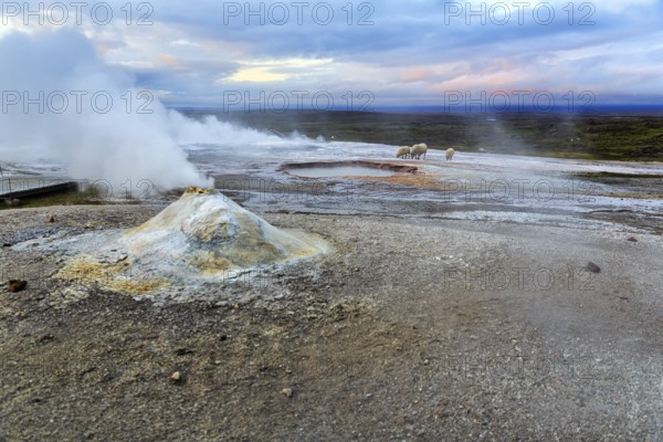 Fumarole, Solfatare Öskjuholt, steaming sinter cone, lime sinter, sulphur vapour, Hveravellir