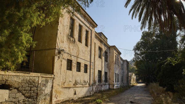 Old abandoned building in an overgrown area with palm trees, Armando Bernabiti, Historicism,