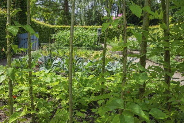District educational garden, kitchen garden, Burgsteinfurt, Steinfurt, Münsterland, North