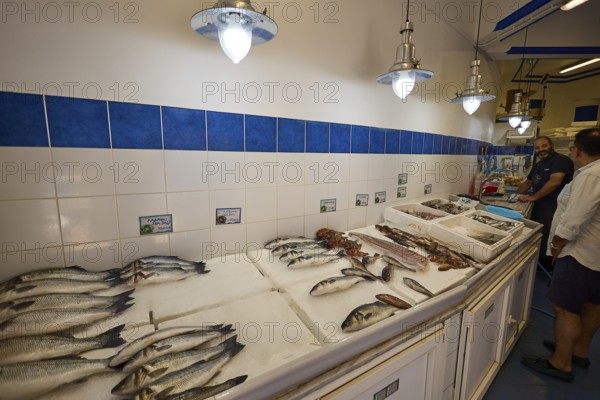 Fresh fish on ice in a shop with blue and white tiles and lamps, Lakki, Leros, Dodecanese, Greek