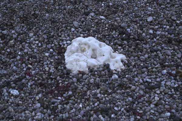 Chalk cliffs in pebble beach, beach, Étretat, cliffs, cliffs, chalk cliffs, alabaster coast, La