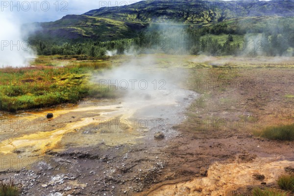Steaming high-temperature area Haukadalur, tourist attraction on the Golden Circle, Sudurland,