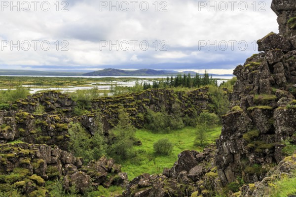 Thingvellir National Park, green volcanic landscape with Lake Þingvallavatn, Thingvallavatn in