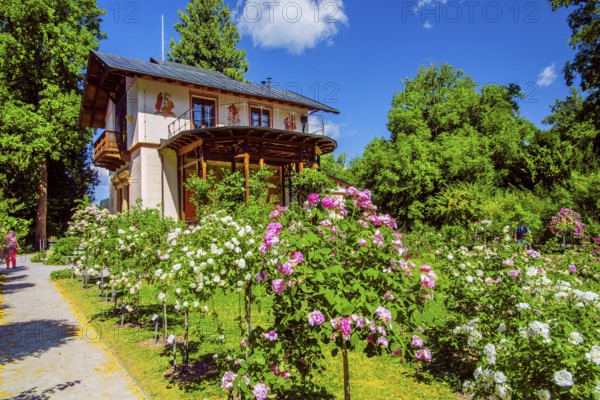 Rose garden in front of the Pompeian-Bavarian casino on the Rose Island in Lake Starnberg,