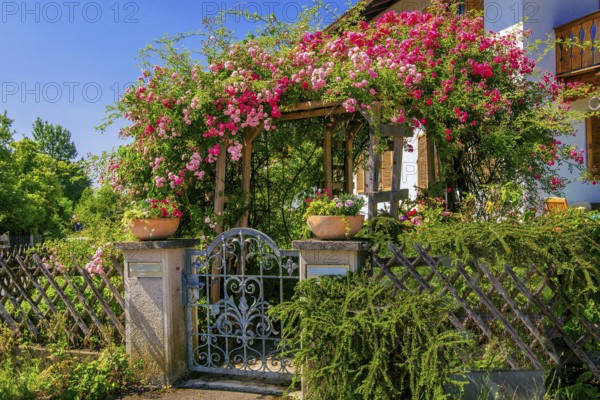 Rose arch over garden gate to Upper Bavarian country house, Ohlstadt, Loisach Valley, The Blue