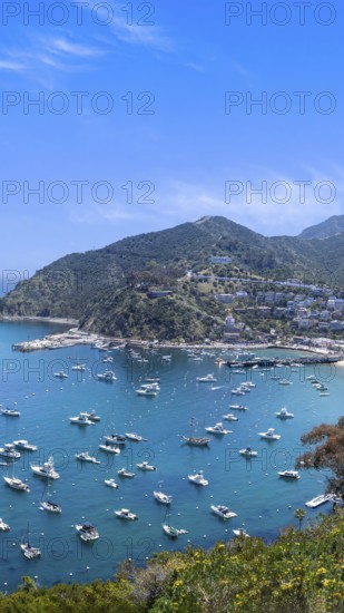 USA, California, panoramic view of Catalina Island Bay and Avalon. Chimes Lookout. Travel
