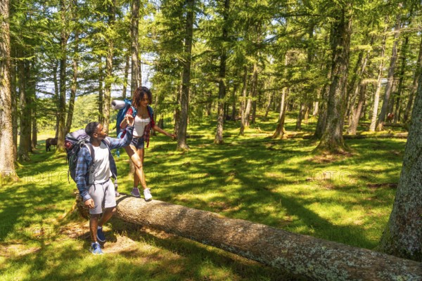 Hikers with backpacks carefully balancing on a fallen tree trunk while exploring a lush green