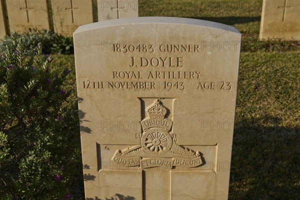 A single gravestone with inscription near grass and shade in a cemetery, J. Doyle, Royal Artillery,