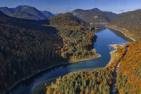 Mountain lake, mountains, sunny, morning light, autumn, autumn color, forest, aerial view,