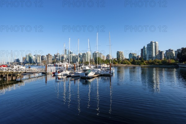 Skyscrapers and sailboats in the marina, Vancouver skyline reflected in the ocean, Coal Harbour,