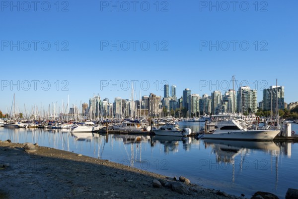 Skyscrapers yachts and sailboats in the marina, Vancouver skyline reflected in the ocean, Coal