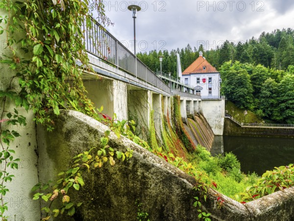 Power plant at lake Höllsteinsee, river Black Regen, region Regen, National Park Bavarian Forest,