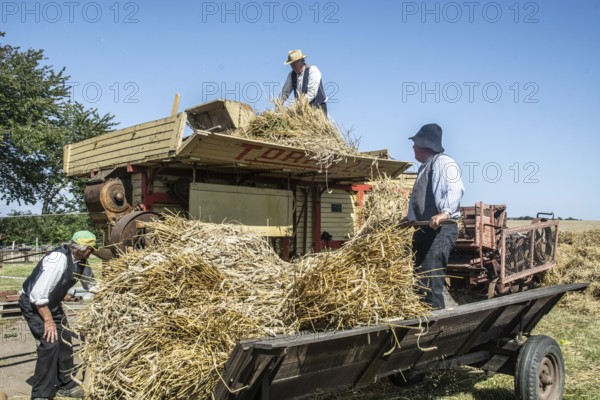 Work at old stationary thresher at old-fashioned harvest festival in Svenstorp, Ystad municipality,
