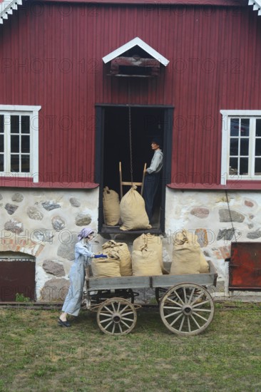 Older wagon with sacks of grain being delivered to the mill in Svenstorp, Ystad Municipality, Skåne
