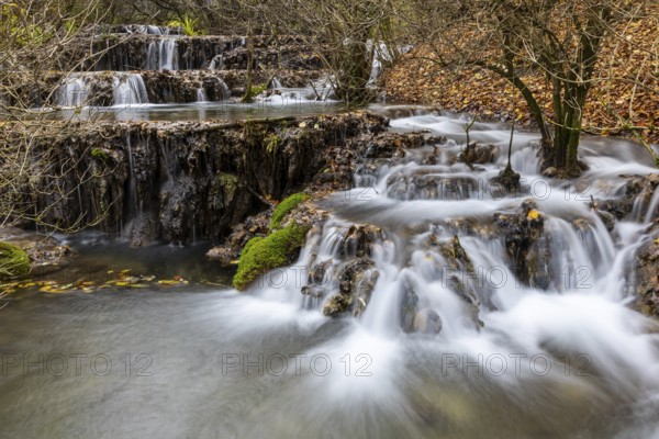 Sinterterrassen der Weißen Lauter, Bach, Water, Autumn, Donntal, Gutenberg, Swabian Jura,