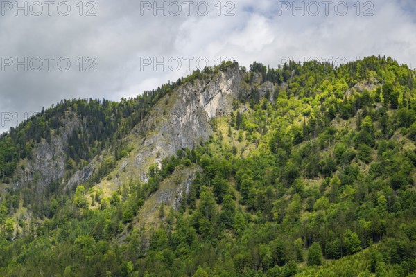 View into the mountains next to Lake Offensee on a rainy day in spring, Salzkammergut, Austria,