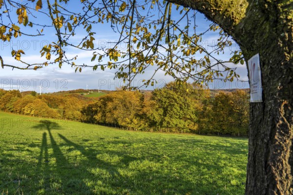 Autumn landscape in Elfringhauser Switzerland, south of Velbert-Langenberg, part of the Neanderland