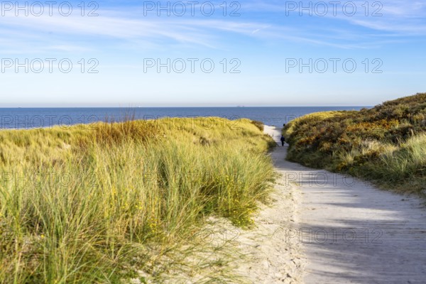 East beach of the East Frisian island of Spiekeroog, beach access through the dunes of Lower