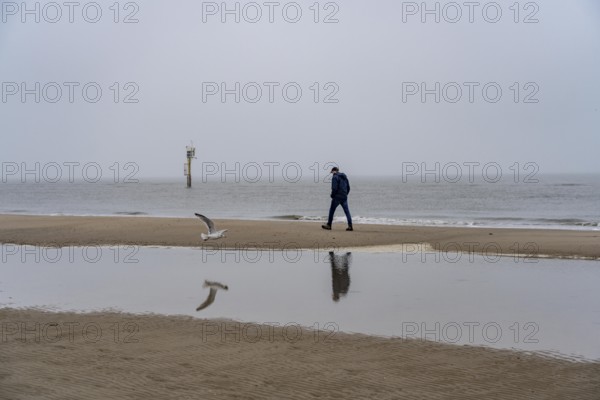 East beach of the East Frisian island of Spiekeroog, beach walk, man alone on the beach, at low