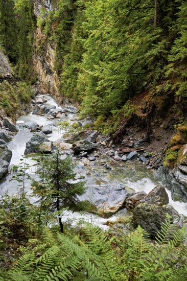 Diosaz mountain river in the gorge, Gorges de la Diosaz, Les Houches, Chamonix-Mont-Blanc,