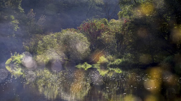 Autumn landscape, trees reflected in water, Thaya River, Thaya Valley National Park, Lower Austria,