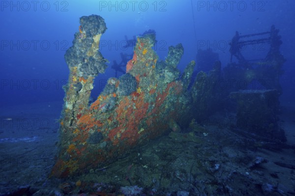 Shipwreck covered with sea sponges is dilapidated on the seabed in the blue ocean in the