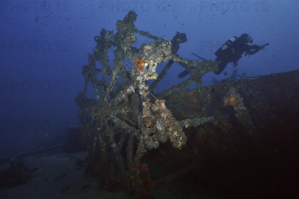 Diver near a shipwreck covered by sea sponges, in dark blue water in the Mediterranean near Hyères,