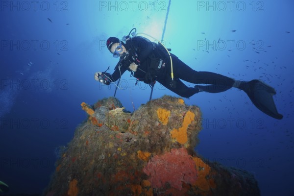 Diver examines an underwater wreck covered with sea sponges in bright blue water in the