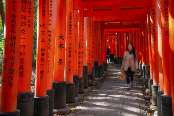 Visitors on a journey through hundreds of red traditional torii gates, Fushimi Inari-taisha, Shinto