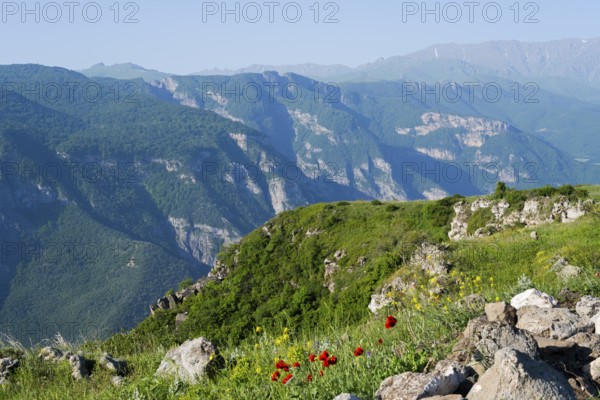 View of majestic mountains and green valleys with colorful wildflowers in the foreground, view of