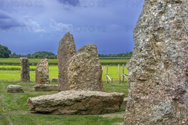 Menhirs, standing stones of conglomerate at Champ de la Longue Pierre in Wéris, Durbuy, province of