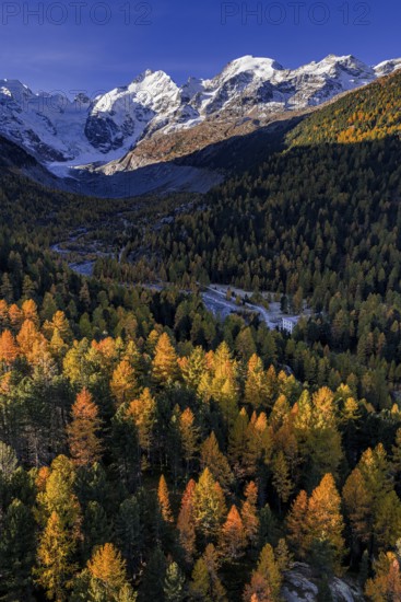 Mountain landscape, larch forest, autumn, autumn discoloration, morning light, aerial view,