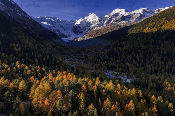 Mountain landscape, larch forest, autumn, autumn discoloration, morning light, aerial view,
