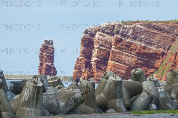 Sunny coastline with concrete tetrapods by the sea, coastal protection, protective wall, paved