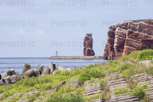 Sunny coastline with concrete tetrapods by the sea, coastal protection, protective wall, paved
