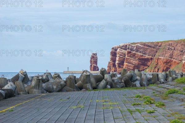 Sunny coastline with concrete tetrapods by the sea, coastal protection, protective wall, paved