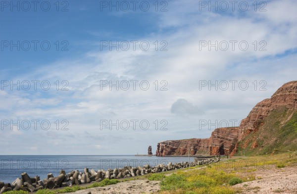 Wide, sunny coastline with concrete tetrapods by the sea, coastal protection, protective wall,