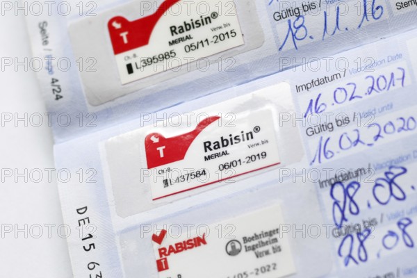 Germany - August 2nd 2025: Rabies vaccination proof with Rabisin sticker in European dog passport