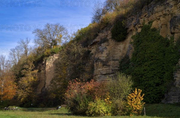 Enzfelswand, rocks on the banks of the Enz, Bietigheim-Bissingen, autumn, autumn colors,