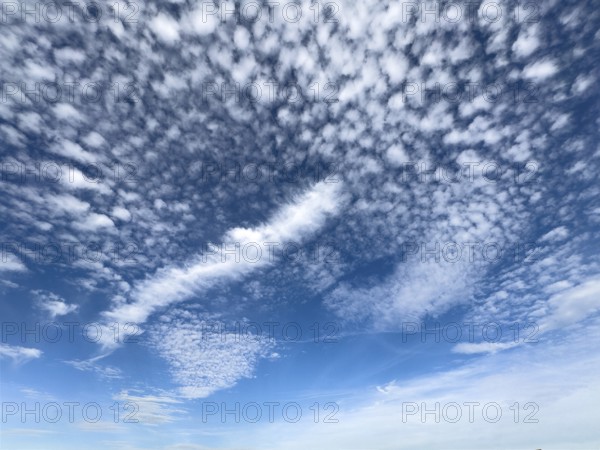 White high clouds in the upper half of the image Cirrocumulus in the center of the image, elongated