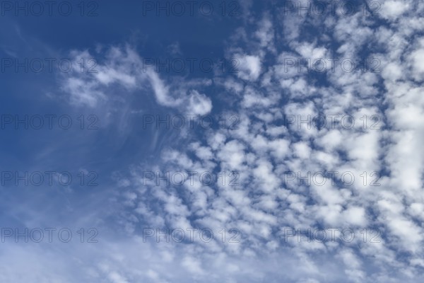 Top left white medium-height clouds Altocumulus floccus right Altocumulus stratiformis popularly