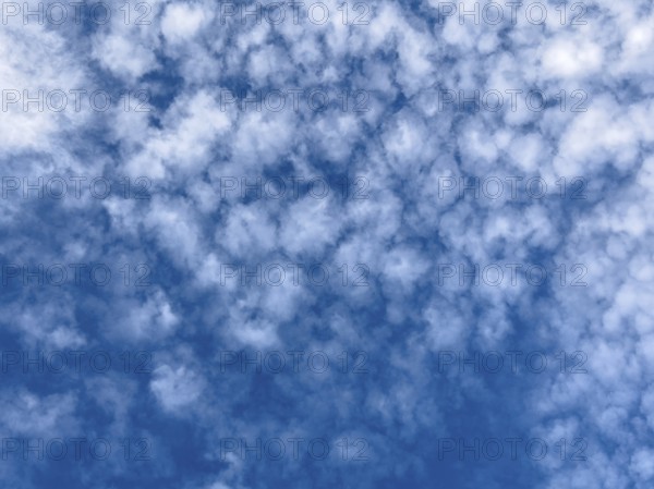 White medium-height clouds Altocumulus translucidus subspecies of altocumulus clouds popularly