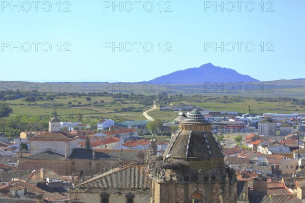 View of Torre del Alfiler tower with white stork and townscape of Trujillo, panoramic view of