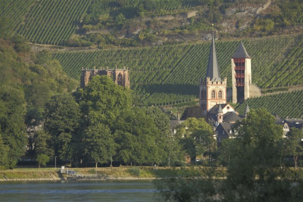 View of Bacharach with Post Tower, St. Peter's Church and Werner Chapel, Rhine,