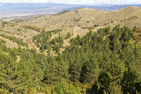 Countryside landscape view from Puerto de Sos hills south of Sos del Rey Catolico, Cinco Villas