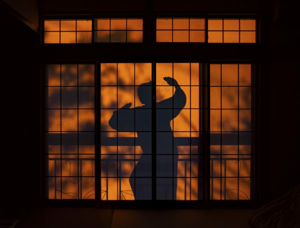 Shadows of a woman in kimono, on the balcony behind sliding shoji doors in a traditional Japanese