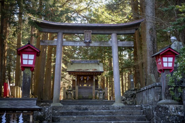 Torii and buildings at Shinto Shrine, Kitaguchi-hongu Fuji Sengen Shrine, Shinto Shrine in the