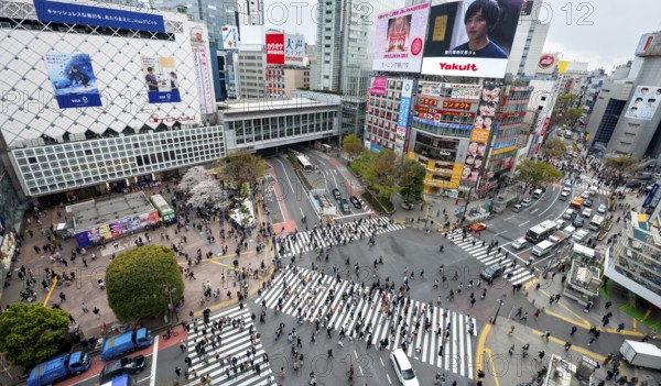 Modern houses with colorful neon signs and large road intersection, Shibuya Crossing from above,